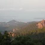 Chambre Luxueuse Au Calme Avec Vue Panoramique Sur La Baie De Cannes Et L Esterel Immense Piscine